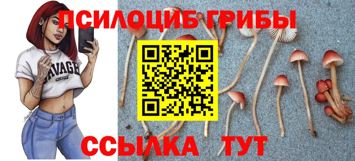 Галлюциногенные грибы прущие грибы  Псилоцибиновые грибы Psilocybine cubensis  Вход с VPN  Родники 